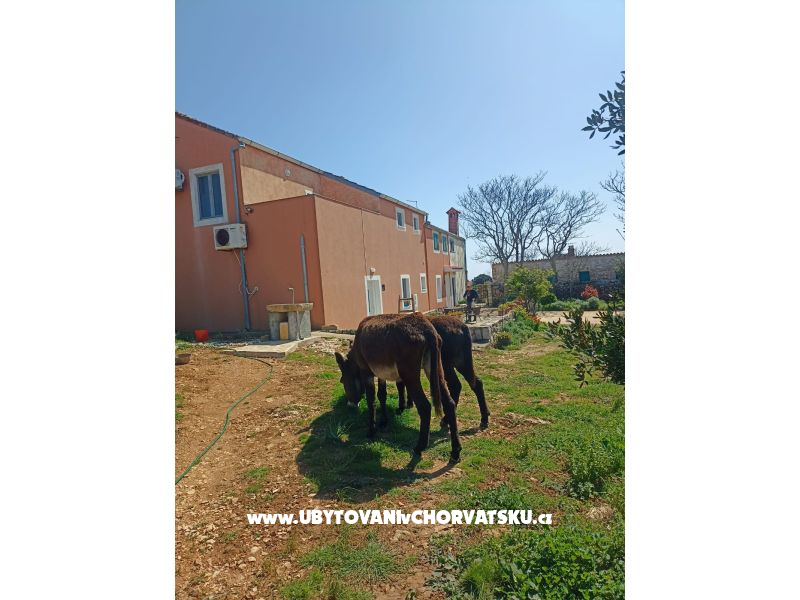 App Bonić – ubytování Veli Lošinj, Chorvatsko – foto 96