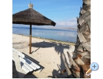 Alida apartmani Vir - ostrov Vir Kroatien