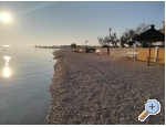 Alida apartmani Vir - ostrov Vir Kroatien