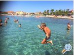 Appartement Bura - ostrov Vir Croatie