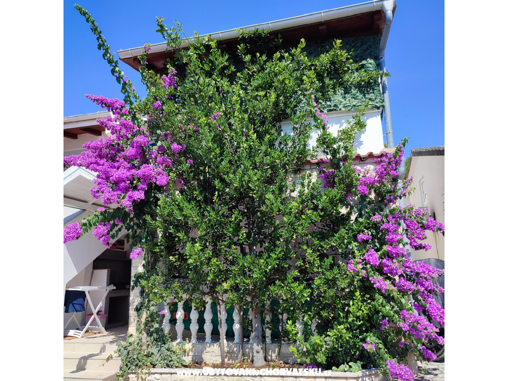 Apartmny Delfin - ostrov Vir Chorvatsko