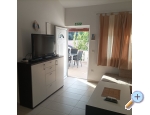 Appartements Delfin - ostrov Vir Kroatien