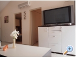 Appartements Delfin - ostrov Vir Kroatien