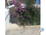 Appartements Delfin - ostrov Vir Kroatien