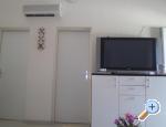 Appartements Delfin - ostrov Vir Kroatien