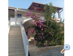 Appartements Delfin - ostrov Vir Kroatien
