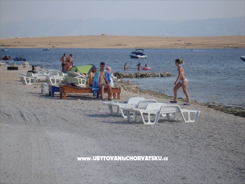 Villa Miličević Ap (6+2) – Ferienwohnung Insel Vir, Kroatien – Foto 13