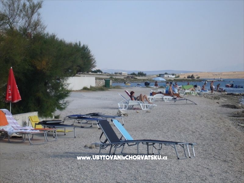 Villa Miličević Ap (6+2) – Ferienwohnung Insel Vir, Kroatien – Foto 14