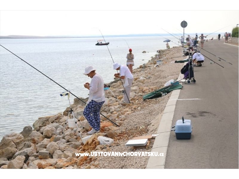 Villa Miličević Ap (6+2) – Ferienwohnung Insel Vir, Kroatien – Foto 18