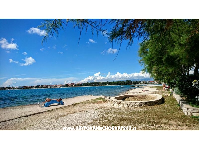 Apartment Ruža – Ferienwohnung Insel Vir, Kroatien – Foto 5