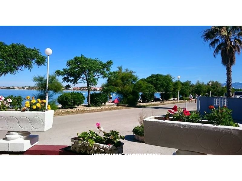 Apartment Ruža – Ferienwohnung Insel Vir, Kroatien – Foto 7