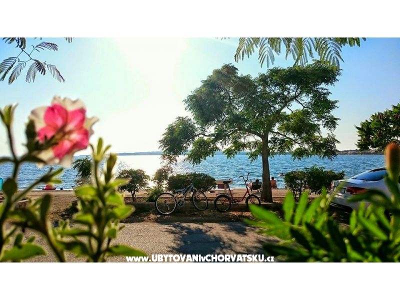 Apartment Ruža – Ferienwohnung Insel Vir, Kroatien – Foto 9