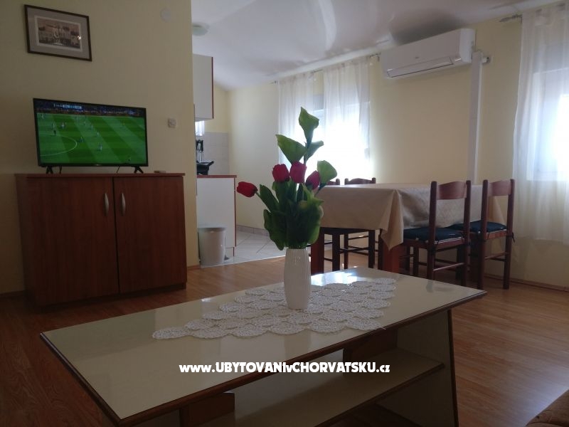 Apartment Alen - Vir  – Ferienwohnung Insel Vir, Kroatien – Foto 3