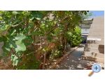 apart. Zadro first house by the sea - ostrov Vir Croatie