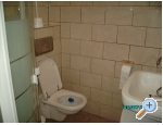 Appartements Alma - ostrov Vir Kroatien