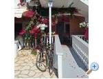 Appartements Alma - ostrov Vir Kroatien