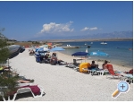 Appartements Alma - ostrov Vir Kroatien