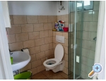 Appartements Alma - ostrov Vir Kroatien