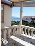 Appartements Alma - ostrov Vir Kroatien