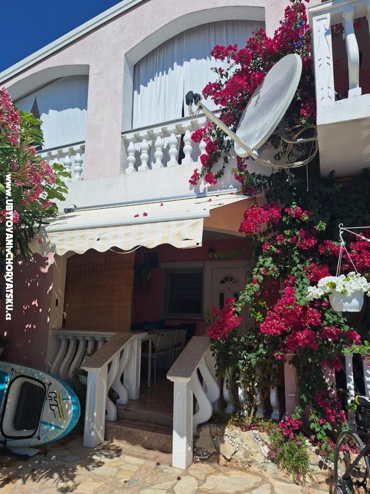 Appartements Alma - ostrov Vir Croatie