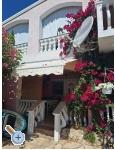 Appartements Alma - ostrov Vir Kroatien