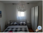 Appartements Alma - ostrov Vir Kroatien