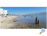 Appartements Alma - ostrov Vir Croatie