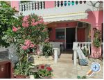 Appartements Alma - ostrov Vir Croatie