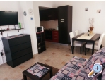 Appartements Aria - ostrov Vir Kroatien