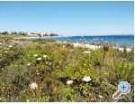 Appartements Aria - ostrov Vir Croatie
