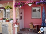 Apartmaji Brekalo - Bonaca - ostrov Vir Hrvaka