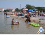 Appartements Brekalo - Bonaca - ostrov Vir Croatie