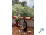 Appartements Budija / Viola - ostrov Vir Kroatien