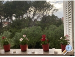 Appartements Budija / Viola - ostrov Vir Kroatien