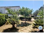 Appartements Budija / Viola - ostrov Vir Croatie
