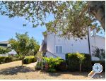 Appartements Budija / Viola - ostrov Vir Croatie