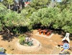 Appartements Budija / Viola - ostrov Vir Croatie
