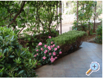Appartements Cestar - ostrov Vir Kroatien