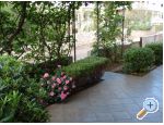 Appartements Cestar - ostrov Vir Kroatien