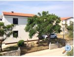 Appartement Dokoza - ostrov Vir Croatie