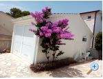 Appartements Fege - ostrov Vir Kroatien