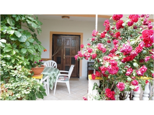 Appartements Ivo i Marija - ostrov Vir Croatie