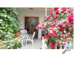 Appartements Ivo i Marija - ostrov Vir Kroatien