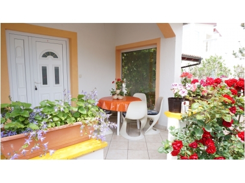 Appartements Ivo i Marija - ostrov Vir Croatie