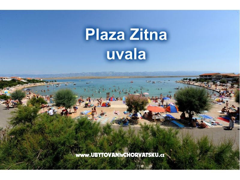 Appartements Jovanovac – Ferienwohnung Insel Vir, Kroatien – Foto 15