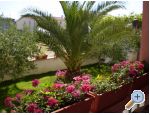 Appartements Kantoci - ostrov Vir Croatie