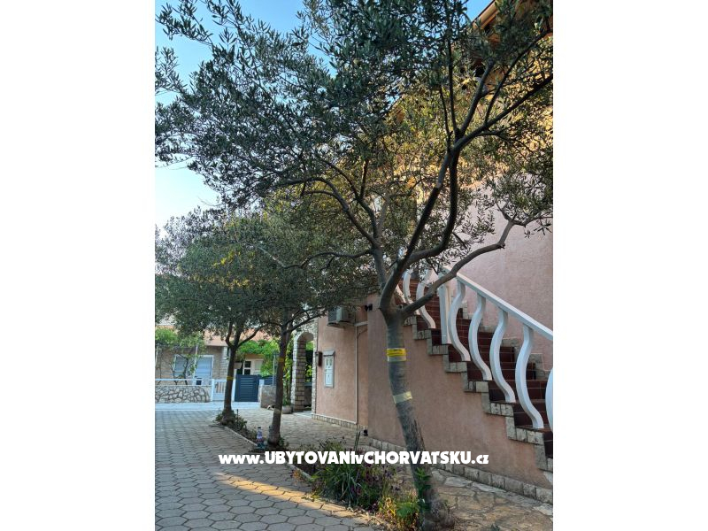 Appartements Katica – Ferienwohnung Insel Vir, Kroatien – Foto 6