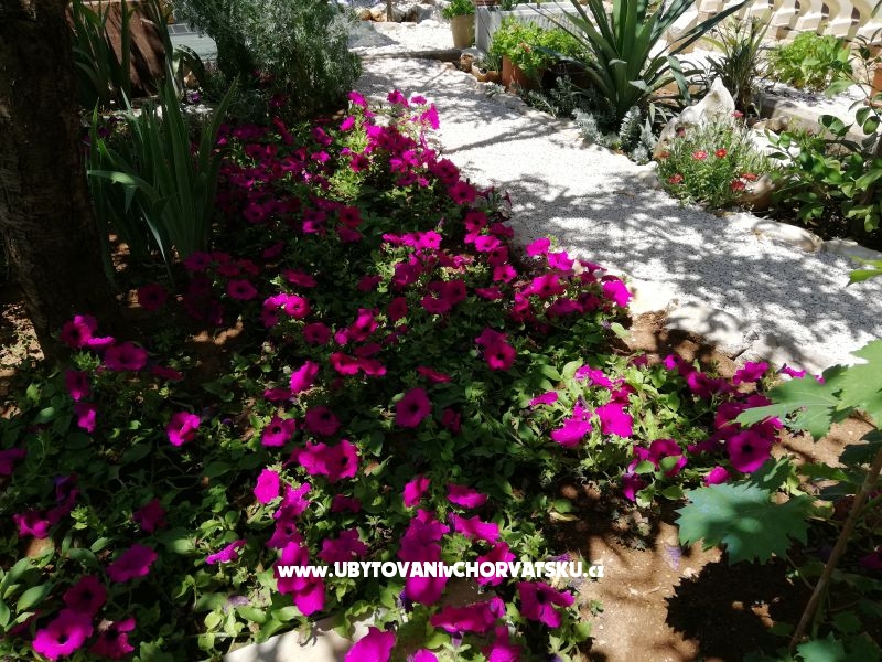 Appartements Kipas – Ferienwohnung Insel Vir, Kroatien – Foto 4