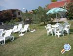 Appartements Kova - ostrov Vir Kroatien