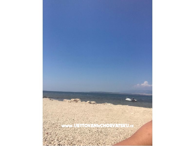 Appartements Krznaric – Ferienwohnung Insel Vir, Kroatien – Foto 16